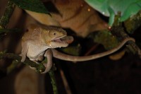 /album/fotogalerie-zoopark-zajezd-mala-rodinna-zoo-nedaleko-kladna/zoopark-zajezd3-jpg/